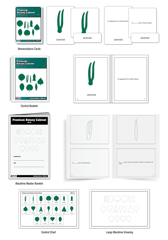 Premium Botany Cabinet Nomenclature Cards (6-9) (Printed)