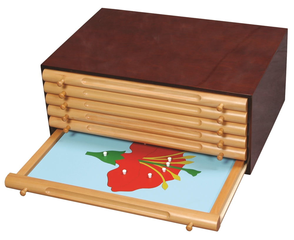 Botany Leaf Cabinet with Large Puzzles (Premium Quality)