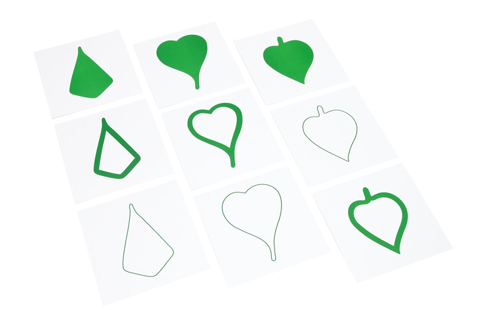 Botany Leaf Cards for Premium Leaf Cabinet (Premium Quality)