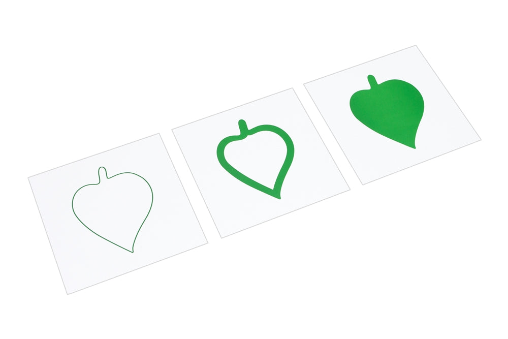 Botany Leaf Cards for Premium Leaf Cabinet (Premium Quality)