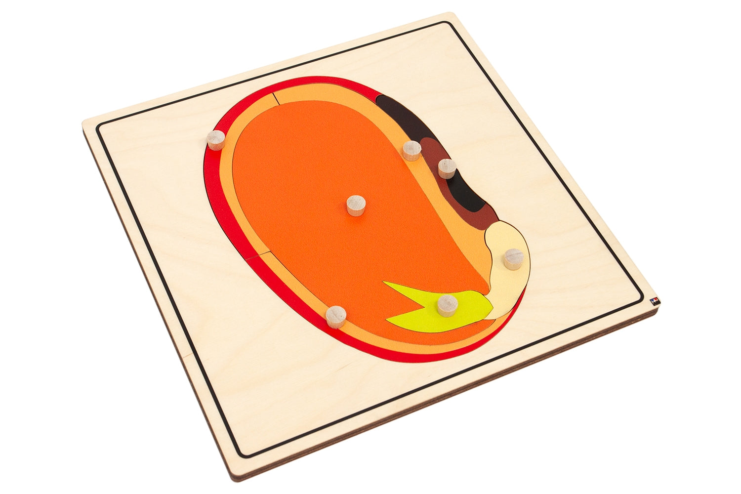 Parts of a Seed Knobbed Puzzle