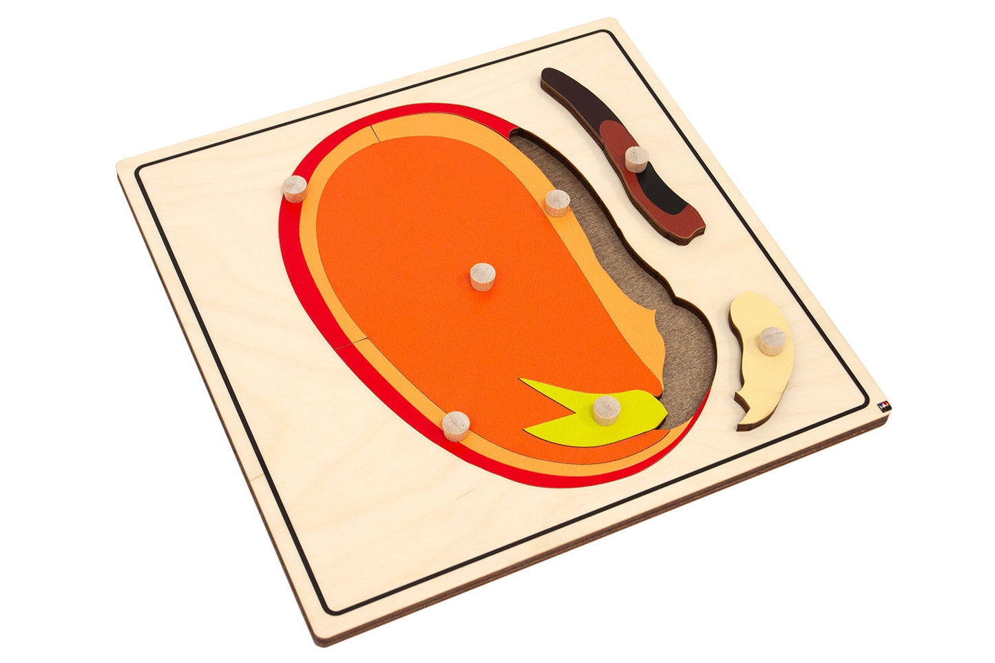 Parts of a Seed Knobbed Puzzle