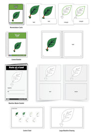 Parts of a Leaf Puzzle Nomenclature Cards (3-6) (Premium Quality))