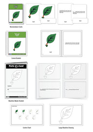 Parts of a Leaf Puzzle Nomenclature Cards (6-9) (Premium Quality)