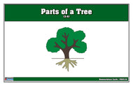 Parts of a Tree Puzzle Nomenclature Cards (3-6) (Premium Quality)