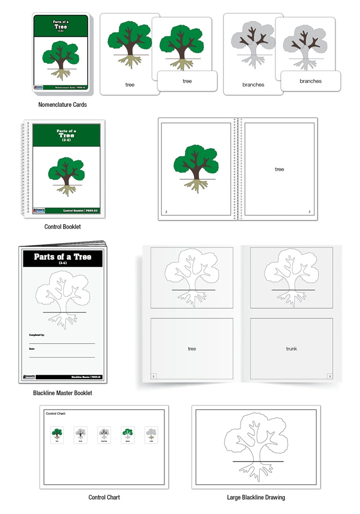 Parts of a Tree Puzzle Nomenclature Cards (3-6) (Premium Quality)