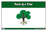 Parts of a Tree Puzzle Nomenclature Cards (6-9) (Premium Quality)