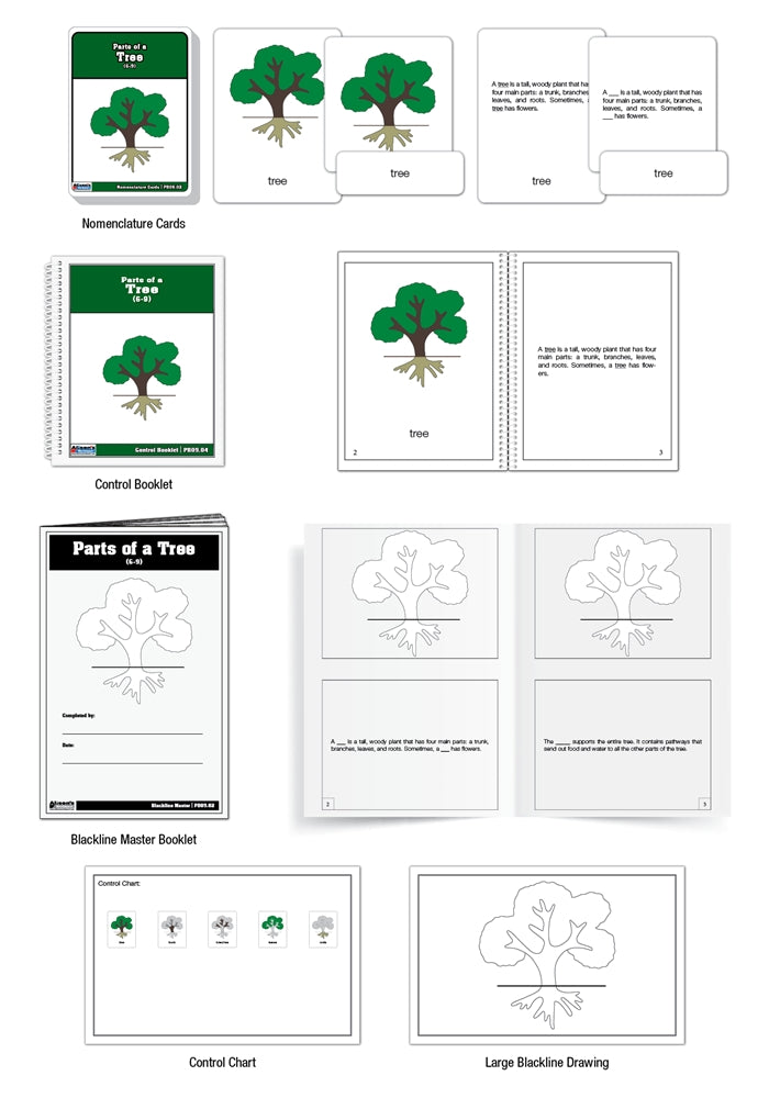Parts of a Tree Puzzle Nomenclature Cards (6-9) (Premium Quality)