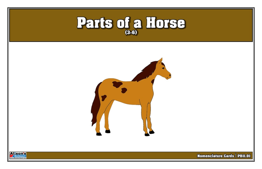 Parts of a Horse Puzzle Nomenclature Cards (3-6) (Premium Quality)
