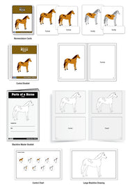 Parts of a Horse Puzzle Nomenclature Cards (3-6) (Premium Quality)