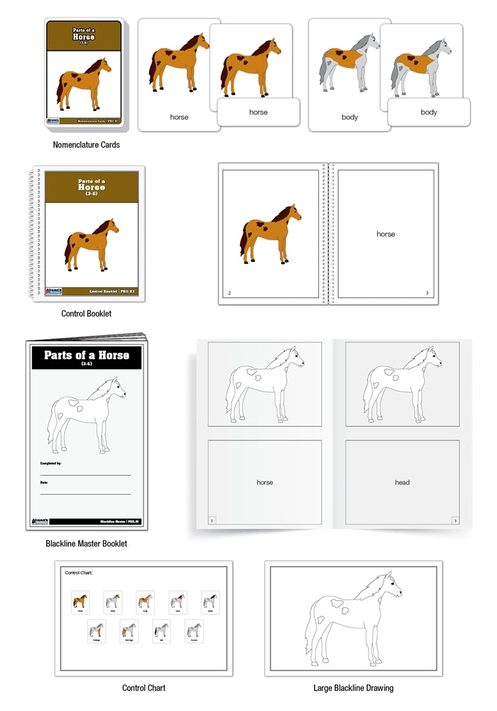 Parts of a Horse Puzzle Nomenclature Cards (3-6) (Premium Quality)