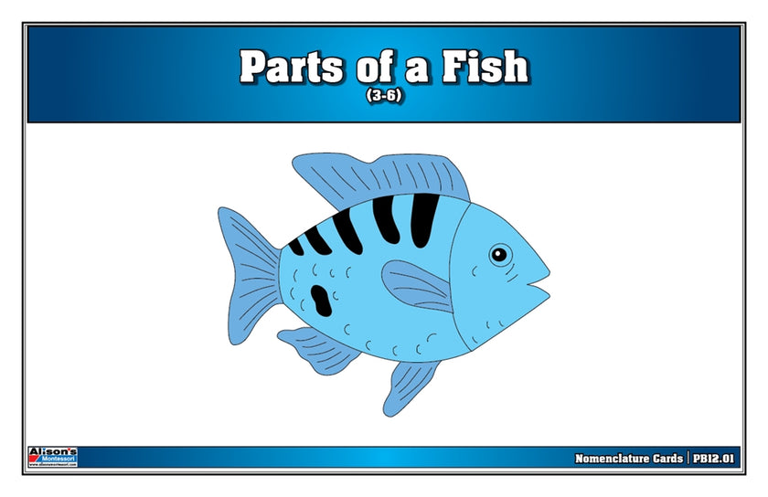 Parts of a Fish Puzzle Nomenclature Cards (3-6) (Premium Quality)