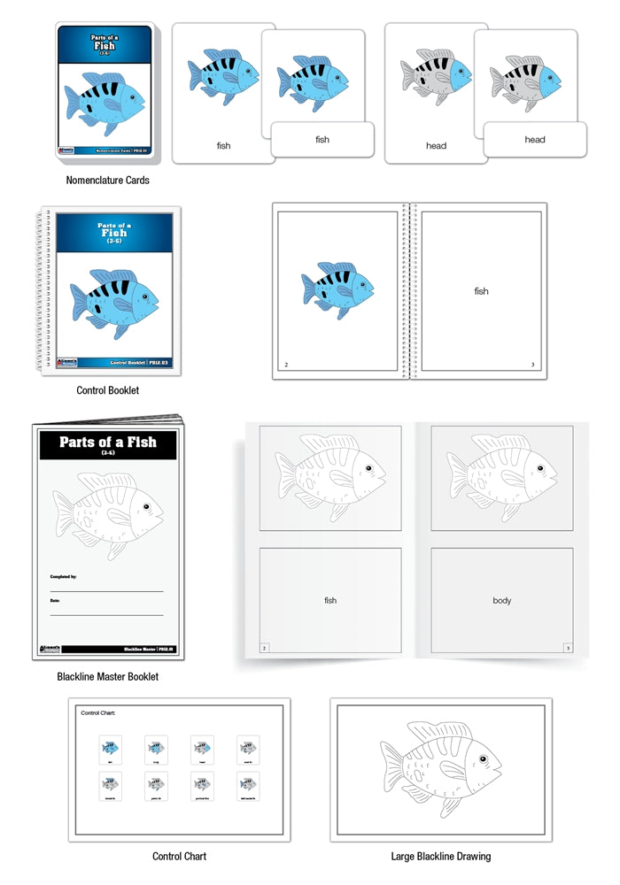 Parts of a Fish Puzzle Nomenclature Cards (3-6) (Premium Quality)