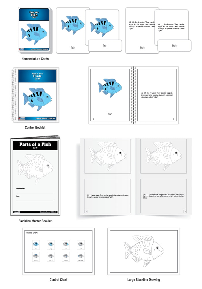 Parts of a Fish Puzzle Nomenclature Cards (6-9) (Premium Quality)