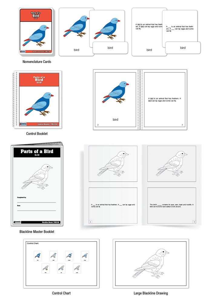 Parts of a Bird Puzzle Nomenclature Cards (6-9) (Premium Quality)