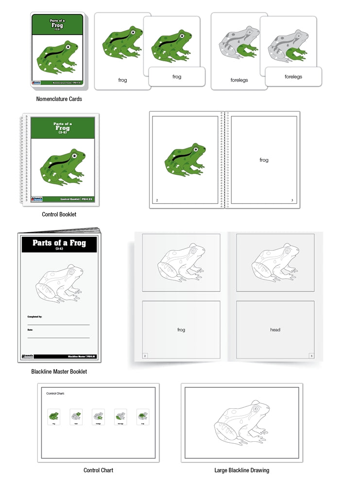 Parts of a Frog Puzzle Nomenclature Cards (3-6) (Premium Quality)