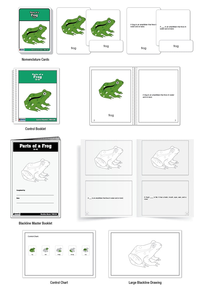 Parts of a Frog Puzzle Nomenclature Cards (6-9) (Premium Quality)