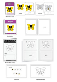 Parts of a Butterfly Puzzle Nomenclature Cards (3-6) (Premium Quality)