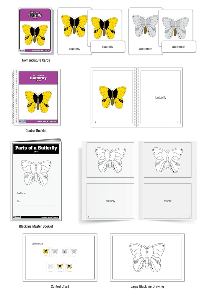 Parts of a Butterfly Puzzle Nomenclature Cards (3-6) (Premium Quality)