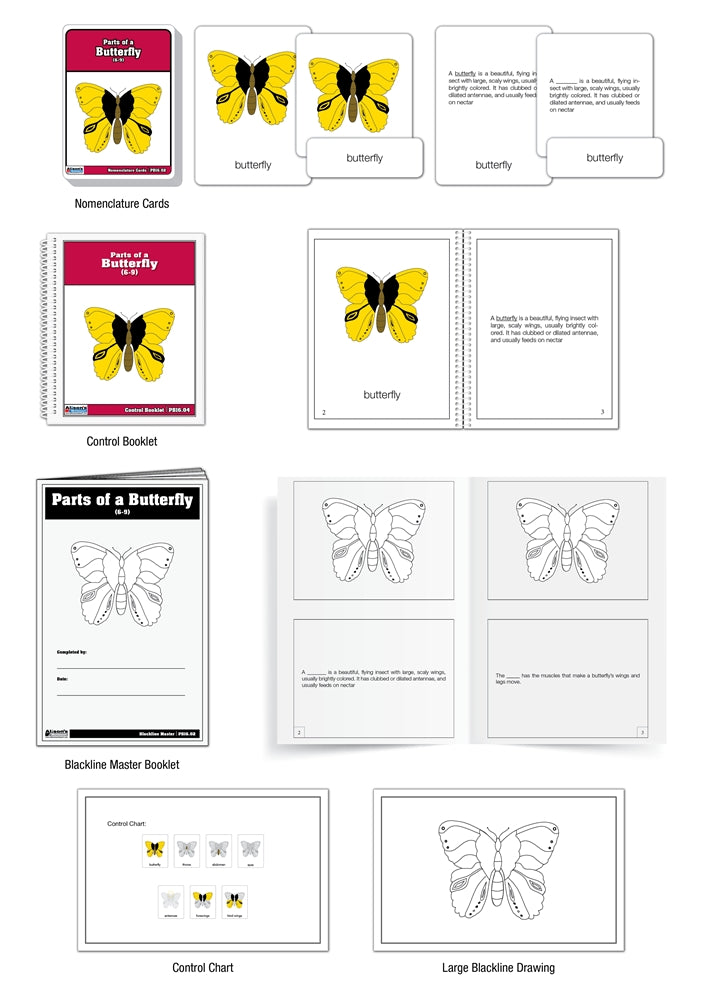 Parts of a Butterfly Puzzle Nomenclature Cards (6-9) (Premium Quality)