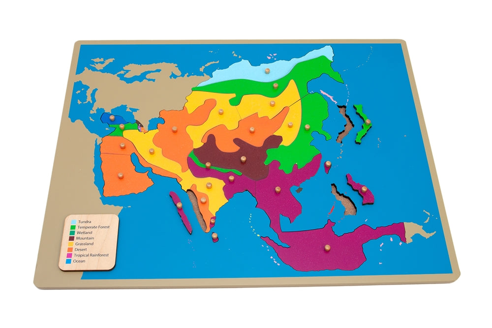 Biomes of Asia Puzzle Map