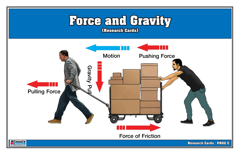 Force and Gravity Research Cards