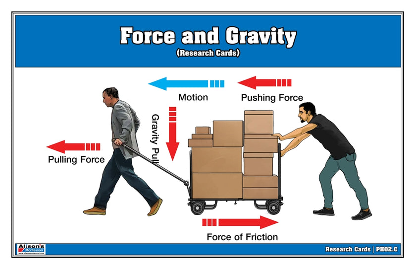 Force and Gravity Research Cards