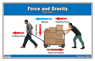 Force and Gravity Task Cards