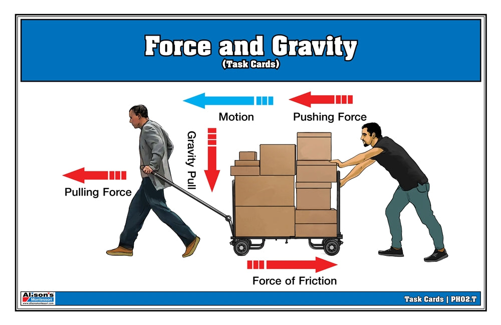 Force and Gravity Task Cards