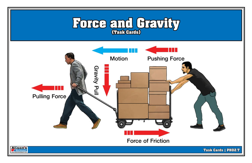 Force and Gravity Task Cards