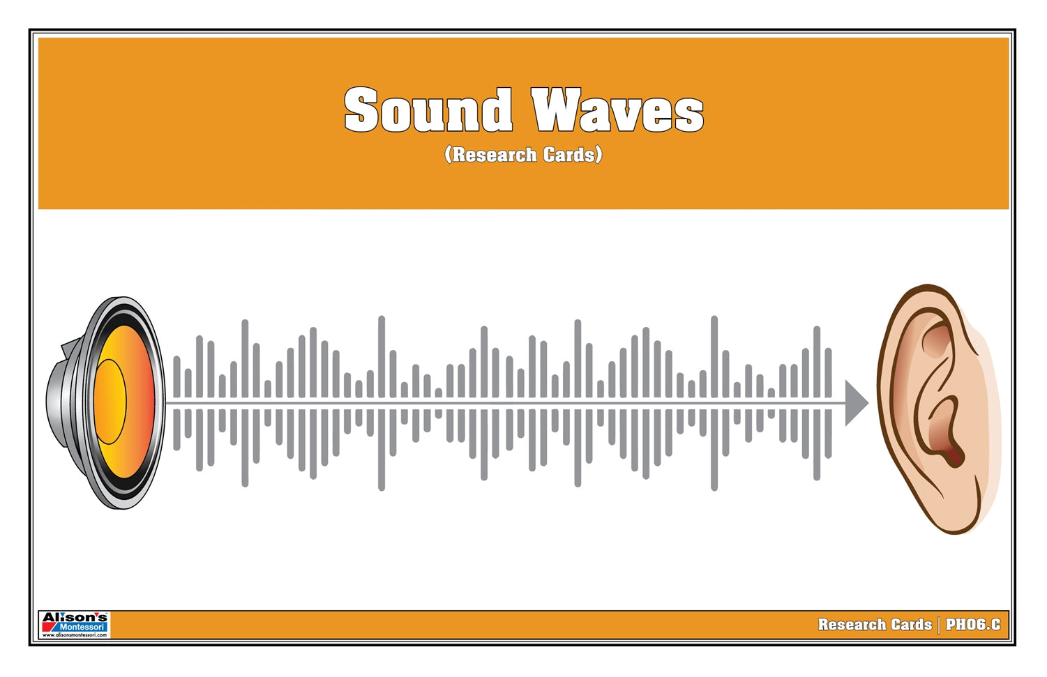 Sound Waves Research Cards