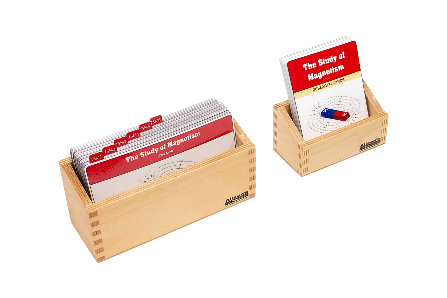 The Study of Magnetism Supplement Materials