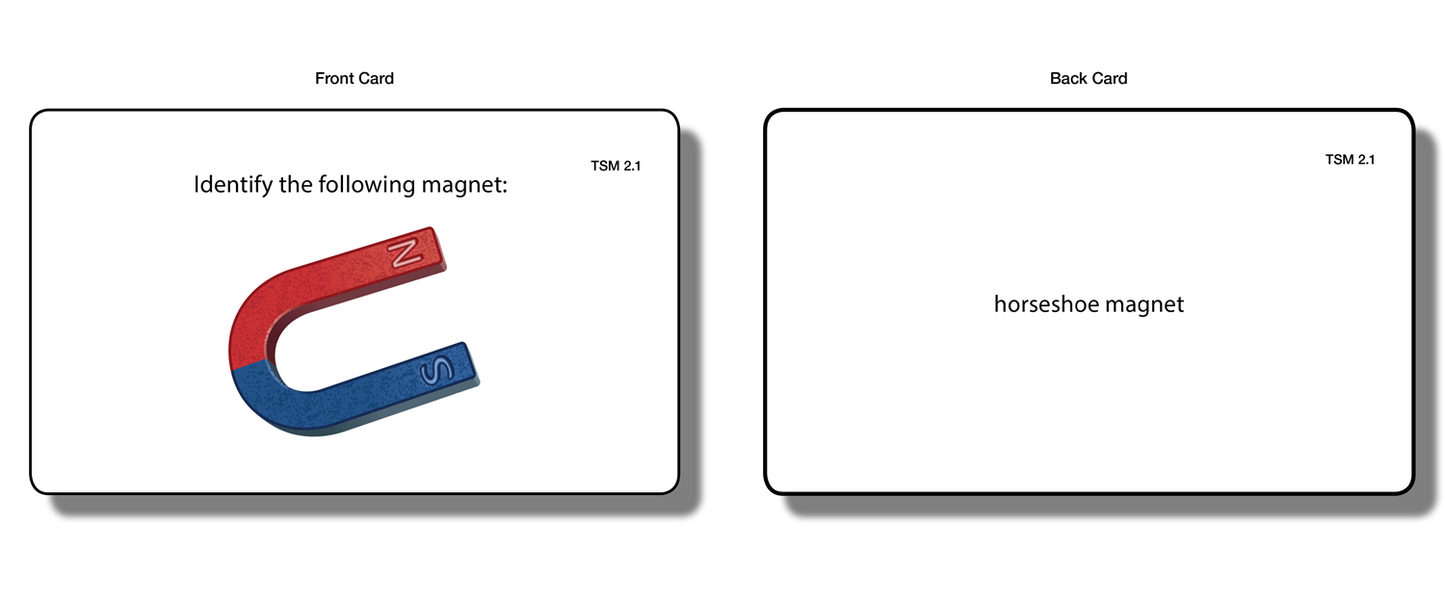 The Study of Magnetism Task Cards