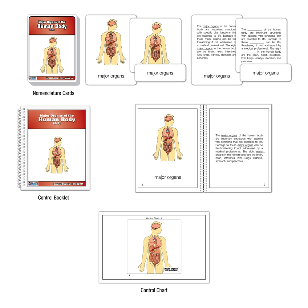 Major Organs of the Human Body Nomenclature Cards (6-9) (Printed)
