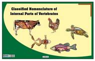 Classified Nomenclature Cards of Internal Parts of Vertebrates (Printed)