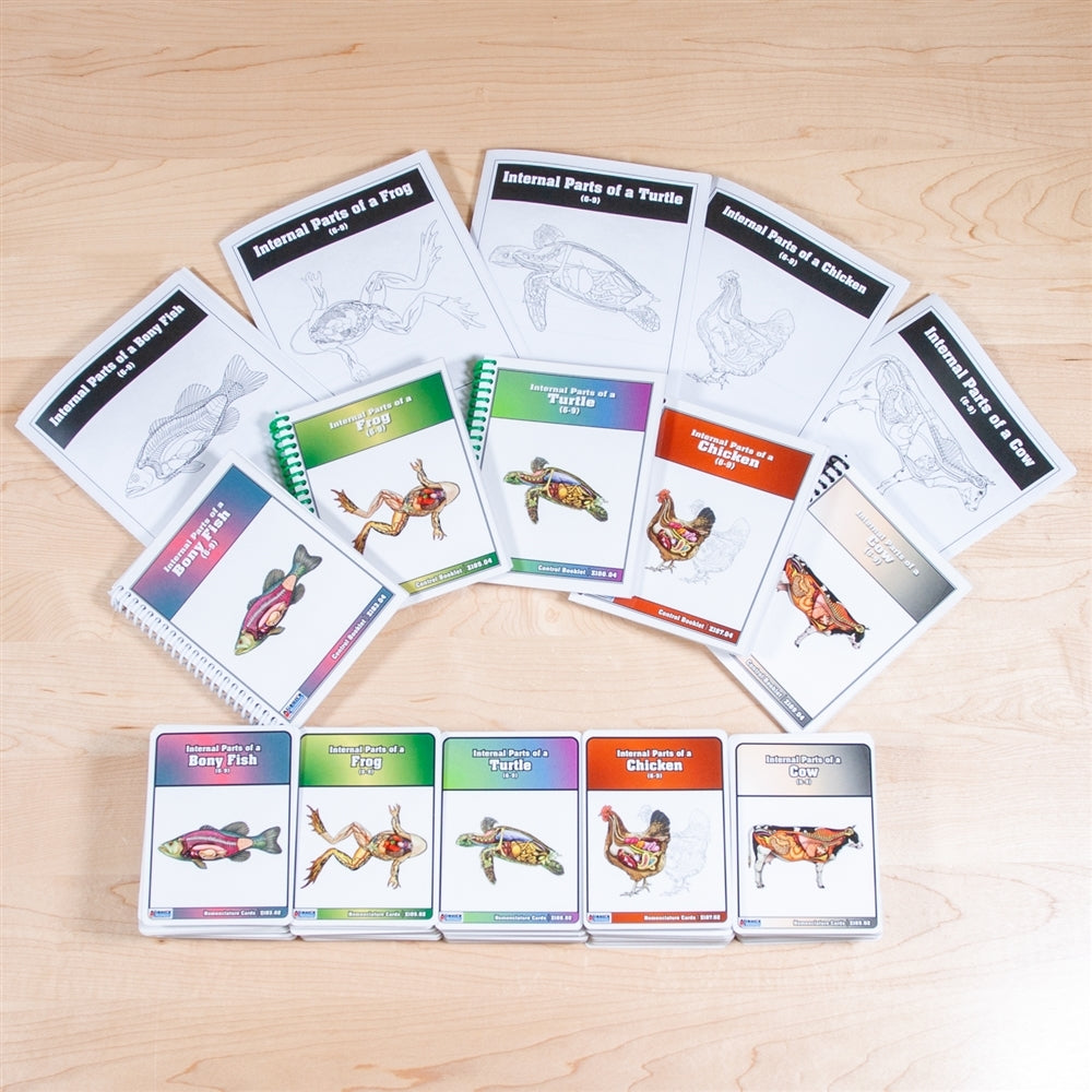 Classified Nomenclature Cards of Internal Parts of Vertebrates (Printed)