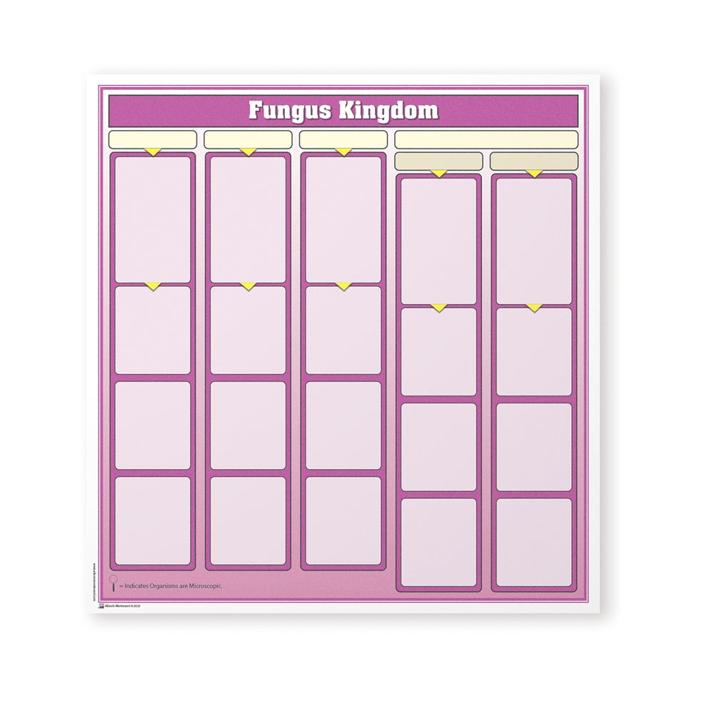 Fungus Kingdom Chart w/Cards