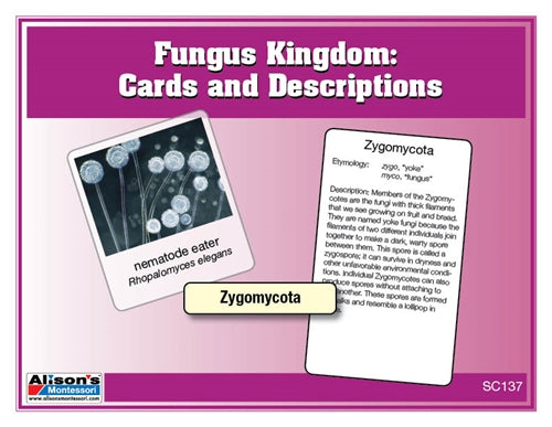 Fungus Kingdom Chart w/Cards