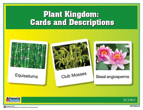 Plant Kingdom Chart w/ Cards