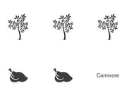 Animal Classification Cards - Eating Habits (Printed)