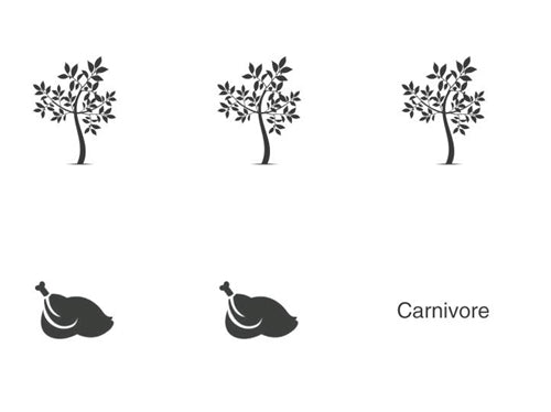 Animal Classification Cards - Eating Habits (Printed)
