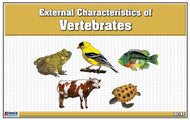Classified Nomenclature Cards of External Parts of Vertebrates (Printed)
