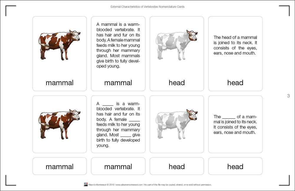 Classified Nomenclature Cards of External Parts of Vertebrates (Printed)