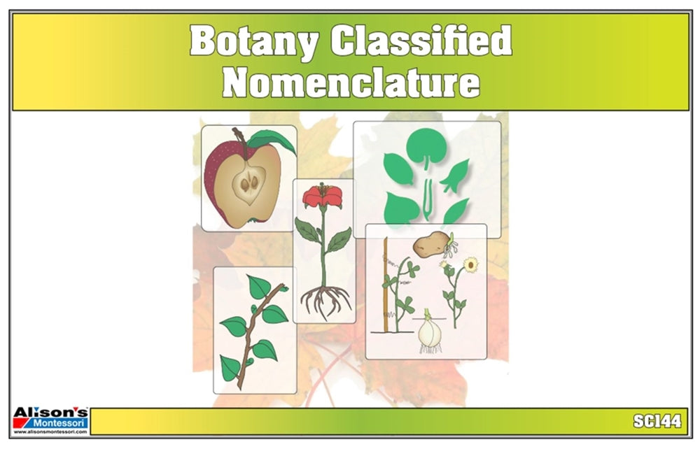 Lower Elementary Classified Botany Nomenclature Cards (Printed)