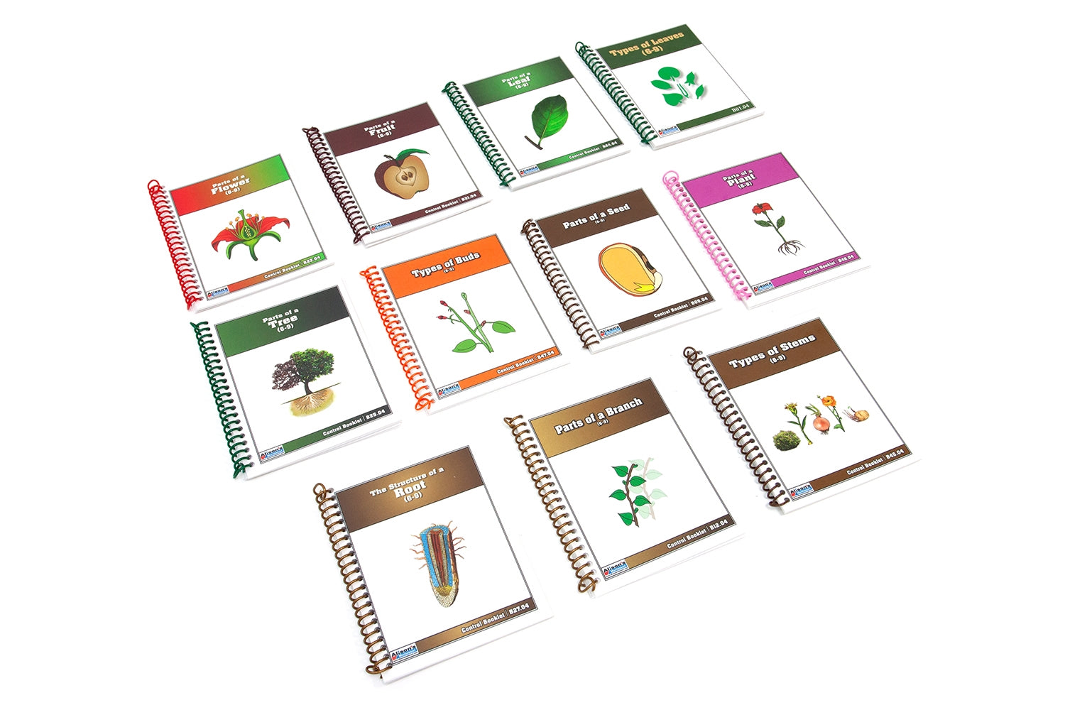 11 Lower Elementary Classified Botany Nomenclature Booklets