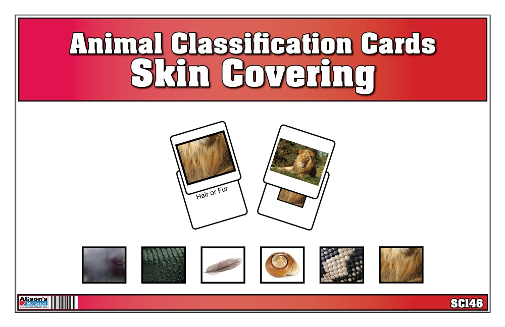 Animal Classification Cards - Skin Covering (Printed)