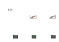 Animal Classification Cards - Skin Covering (Printed)