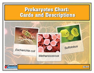Prokaryotes Chart w/ Cards