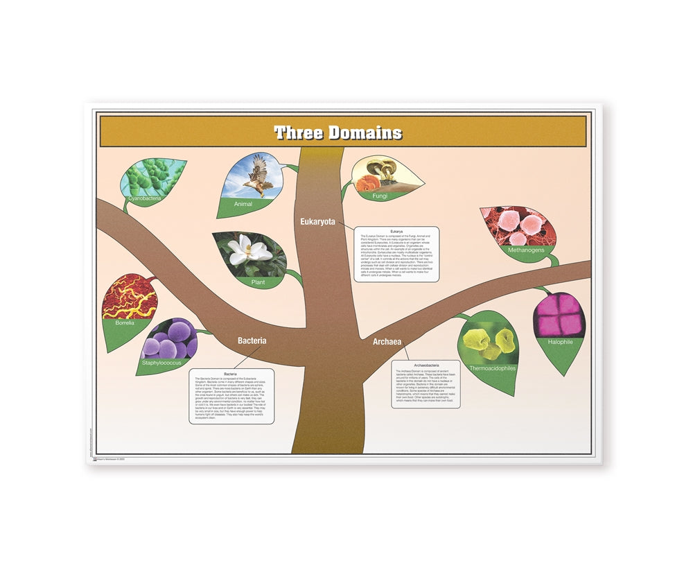 The Three Domains Chart