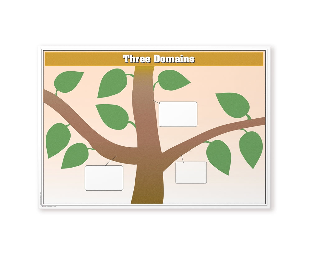 The Three Domains Chart